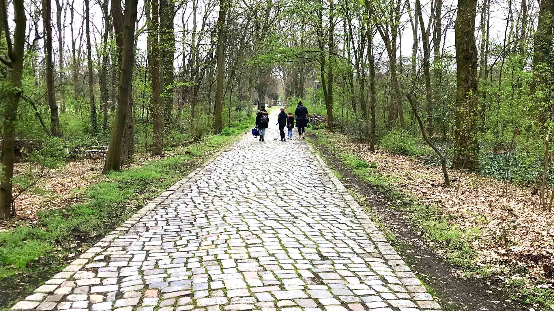 Hufeisenweg mit Blick in östlicher Richtung zur Sportanlage Jungfernheide